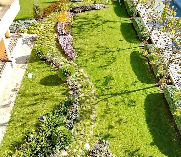 Oxygen * Szveti Vlasz