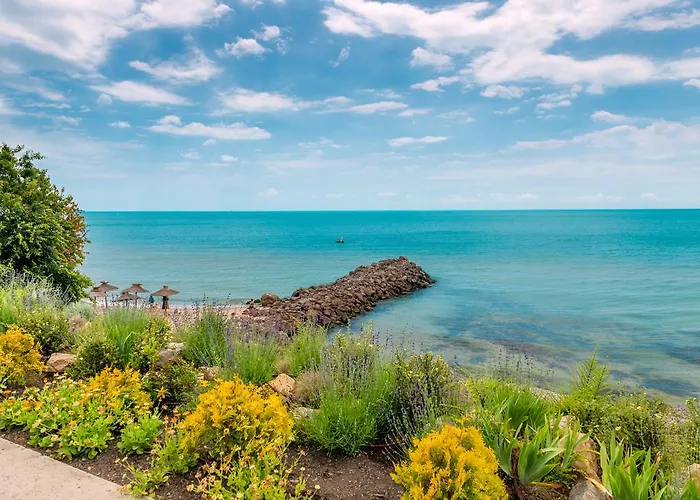 Oxygen Apartman Szveti Vlasz